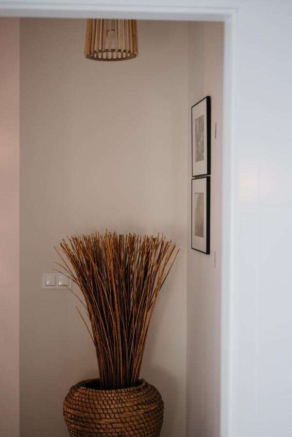 Old Town Wroclaw-2Floor Apartment Private Parking エクステリア 写真